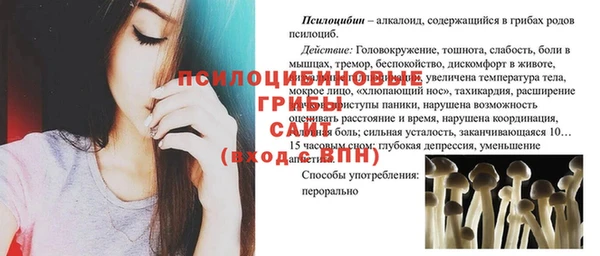 стафф Заволжье