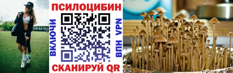 мориарти какой сайт  Адыгейск  Галлюциногенные грибы MAGIC MUSHROOMS 